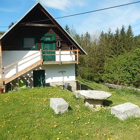 Ferienhaus Am Reitbauernhof Luckyranch Mellach  Eksteriør billede