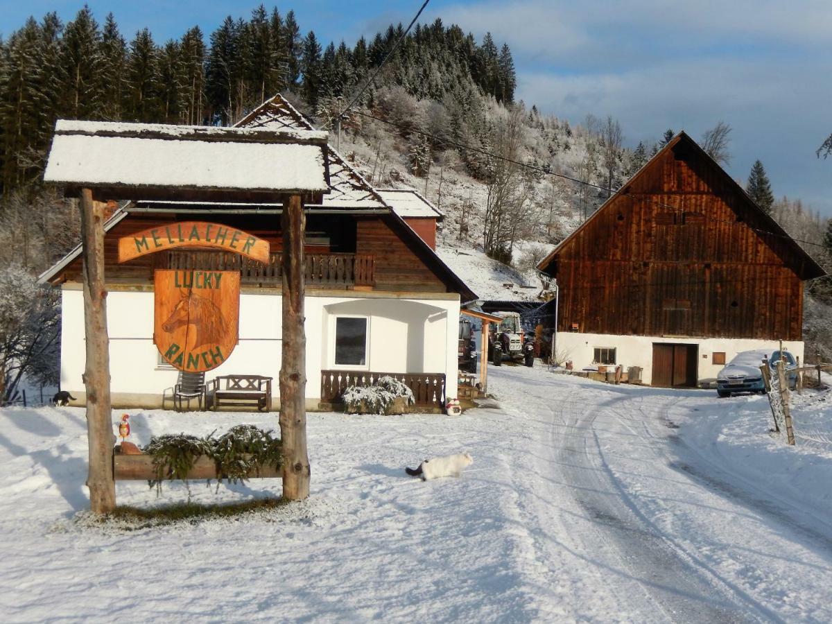 Ferienhaus Am Reitbauernhof Luckyranch Mellach  Eksteriør billede